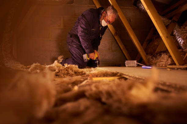 Best Insulation Maintenance and Repair in Welch, WV